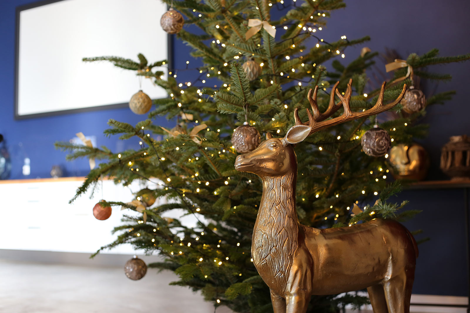 Geschmückter Weihnachtsbaum in der Halle 26